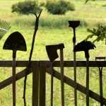 Plantación de vivaces y arbustos