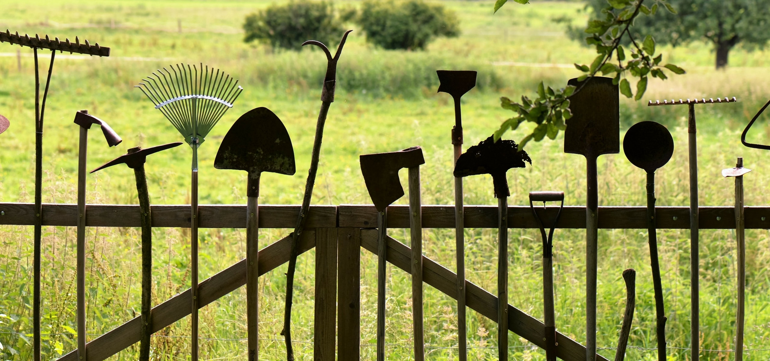 Plantación de vivaces y arbustos