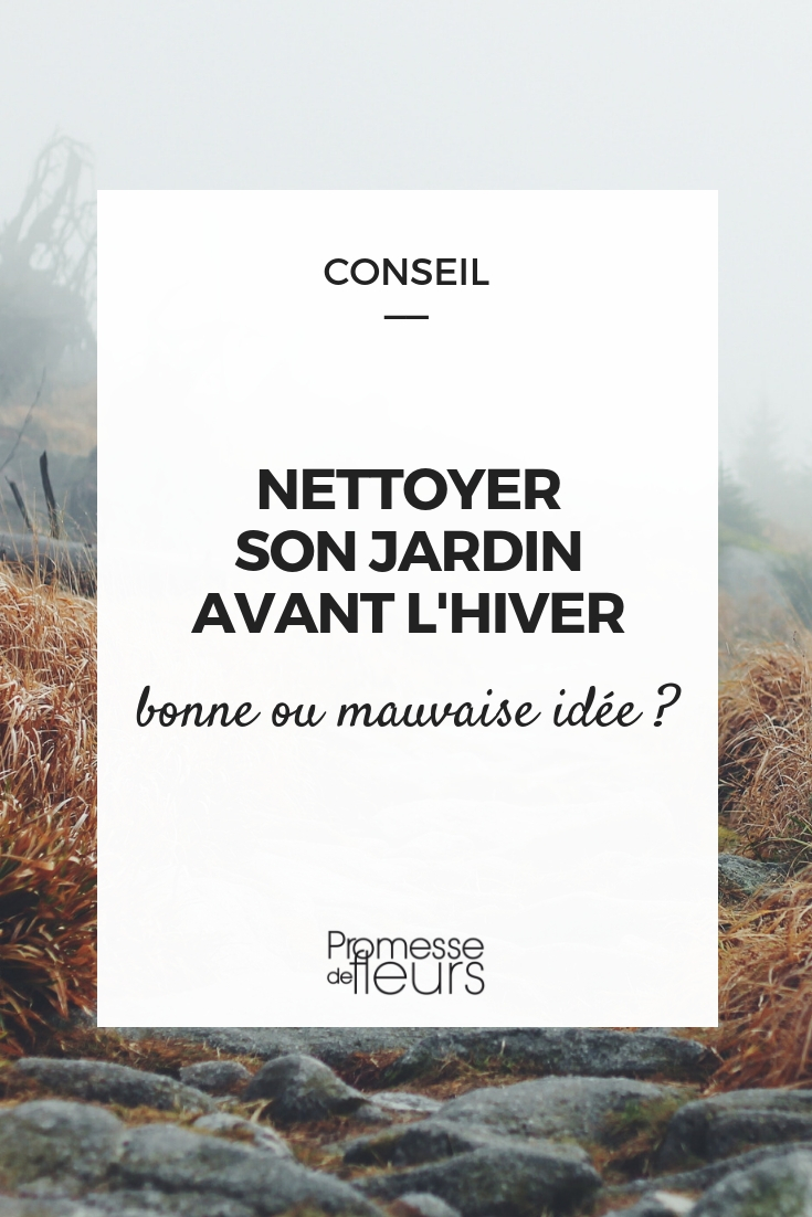 Limpiar el jardín antes del invierno