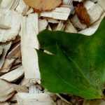 Acolchar: ¿Por qué? ¿Cómo?