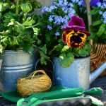 Jardinería en cada estación