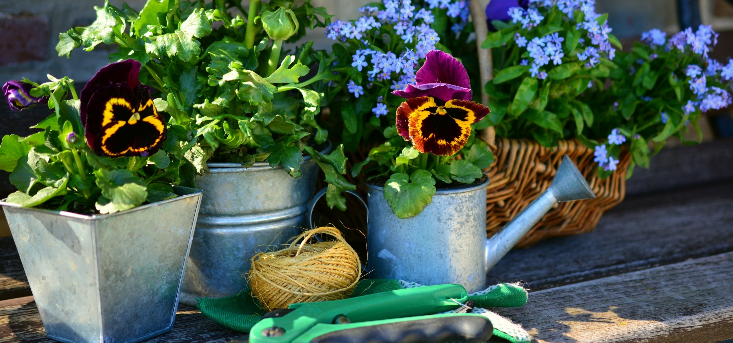 Jardinería en cada estación