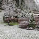 ¡Llega el frío, protege tus plantas!