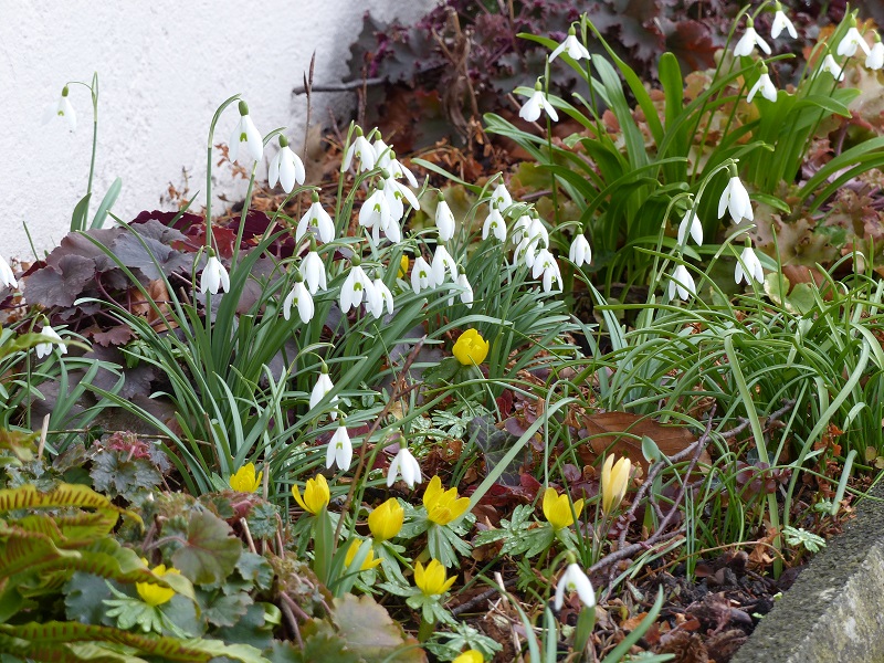 Dúo ganador en amarillo y blanco