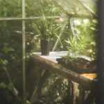 Minimacetas de huerto: ¿Cómo plantarlas correctamente para un huerto productivo?