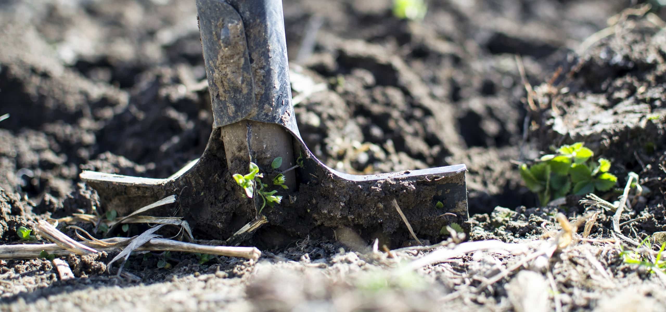Nutrir el suelo de forma natural.