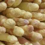 Lograr el cultivo de espárragos blancos.