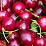 Conservar las frutas del jardín