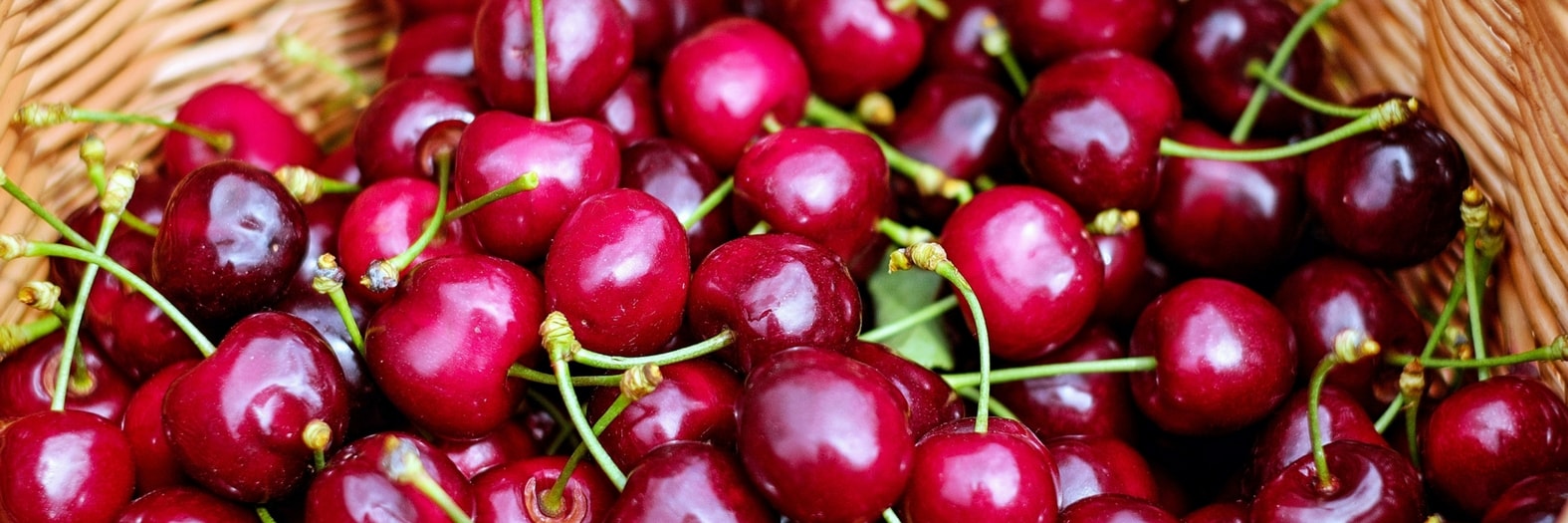 Conservar las frutas del jardín