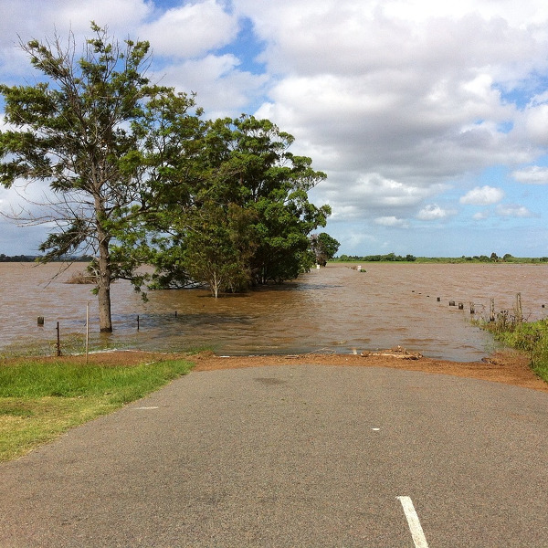 ¿Se ha inundado su jardín? ¿Qué hacer después de que haya bajado el agua?