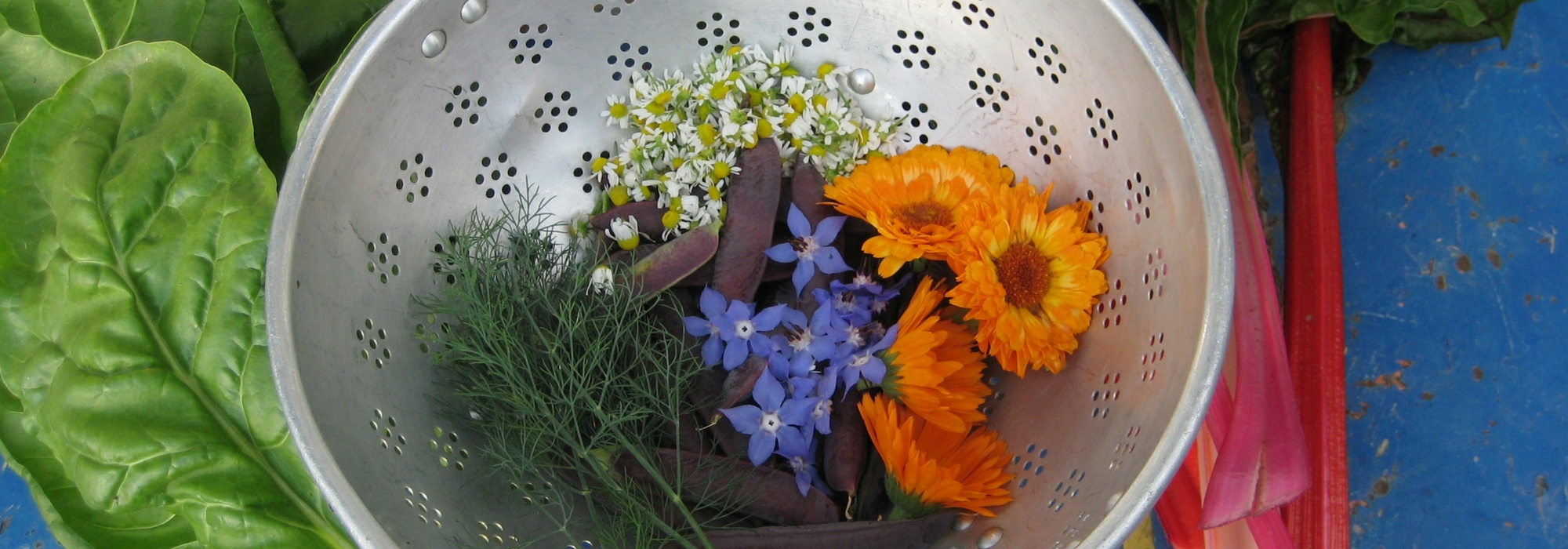 Las mejores flores comestibles para el jardín