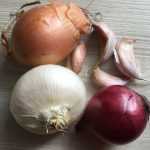 Ajo, cebolla, cebolla chalota… ¡En febrero, en el huerto!