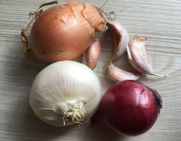 Ajo, cebolla, cebolla chalota… ¡En febrero, en el huerto!