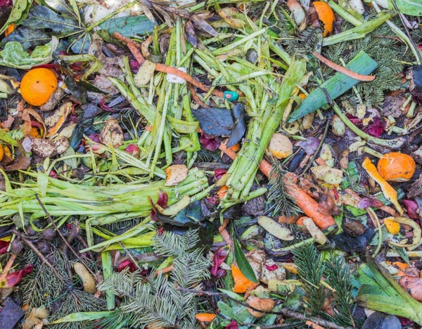 Lograr un buen compost en 5 puntos