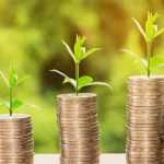 10 consejos para jardinear sin gastar demasiado