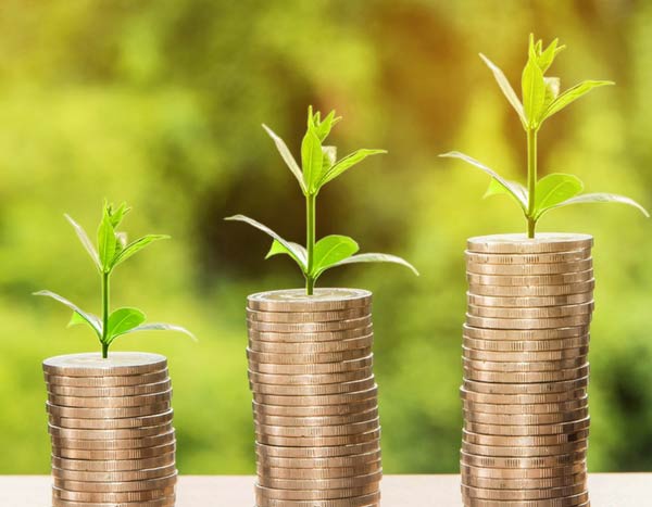 10 consejos para jardinear sin gastar demasiado