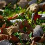 Tela de mantillo: ¿a favor o en contra?