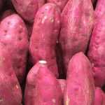Lograr el cultivo de la Batata para obtener excelentes cosechas