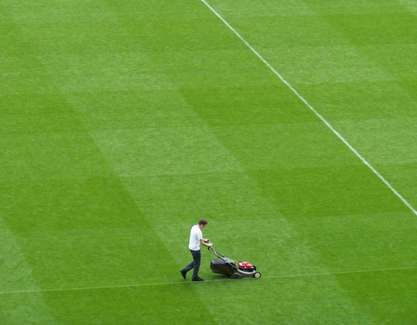 ¿Cómo elegir bien tu cortacésped?