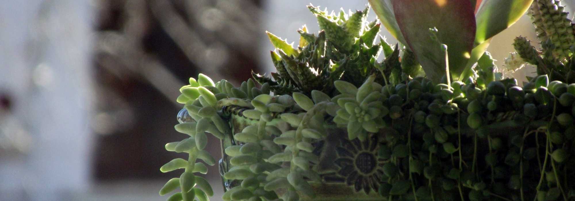 8 composiciones florales para el cementerio