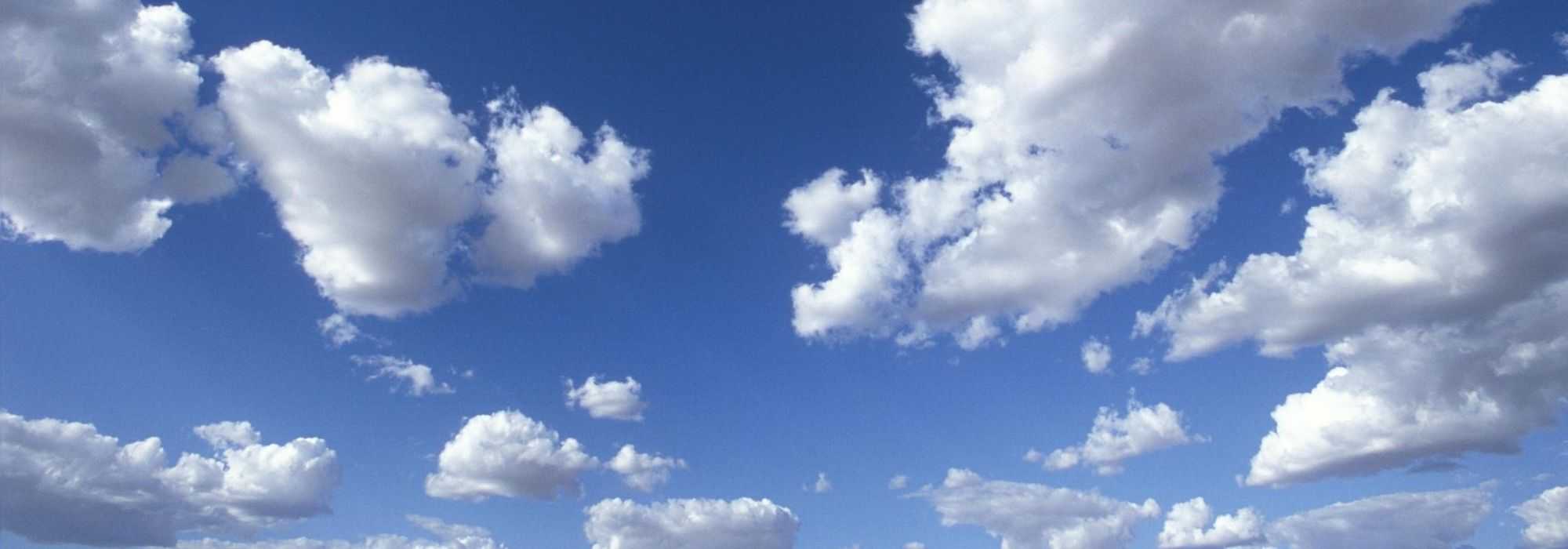 Plantas rústicas y rusticidad