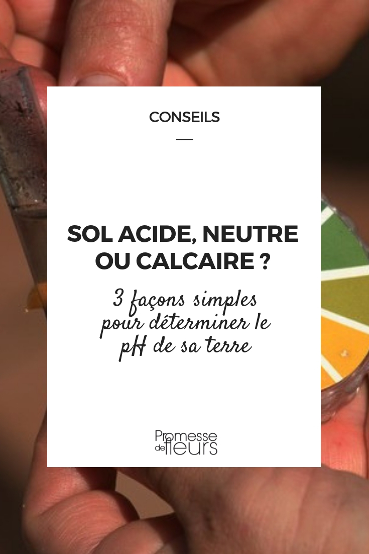 determinar el pH de tu tierra