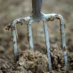 ¿Labrar la tierra, buena o mala práctica?