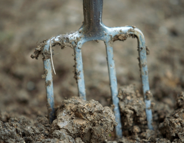¿Labrar la tierra, buena o mala práctica?