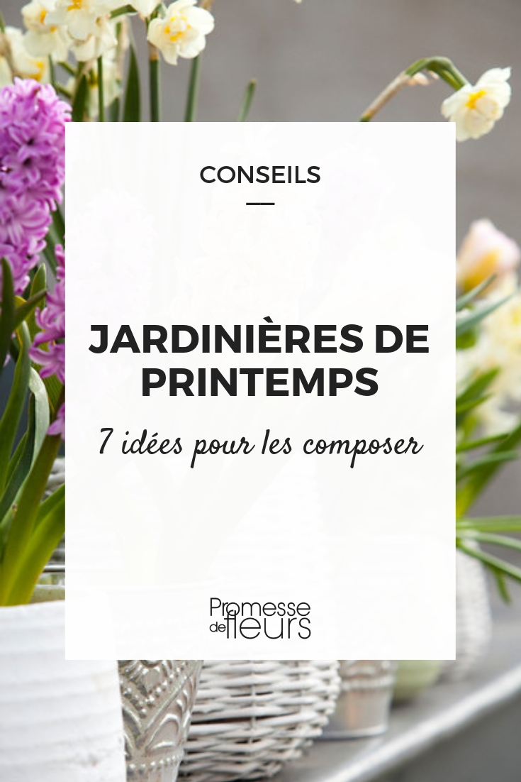 componer una jardinera de primavera