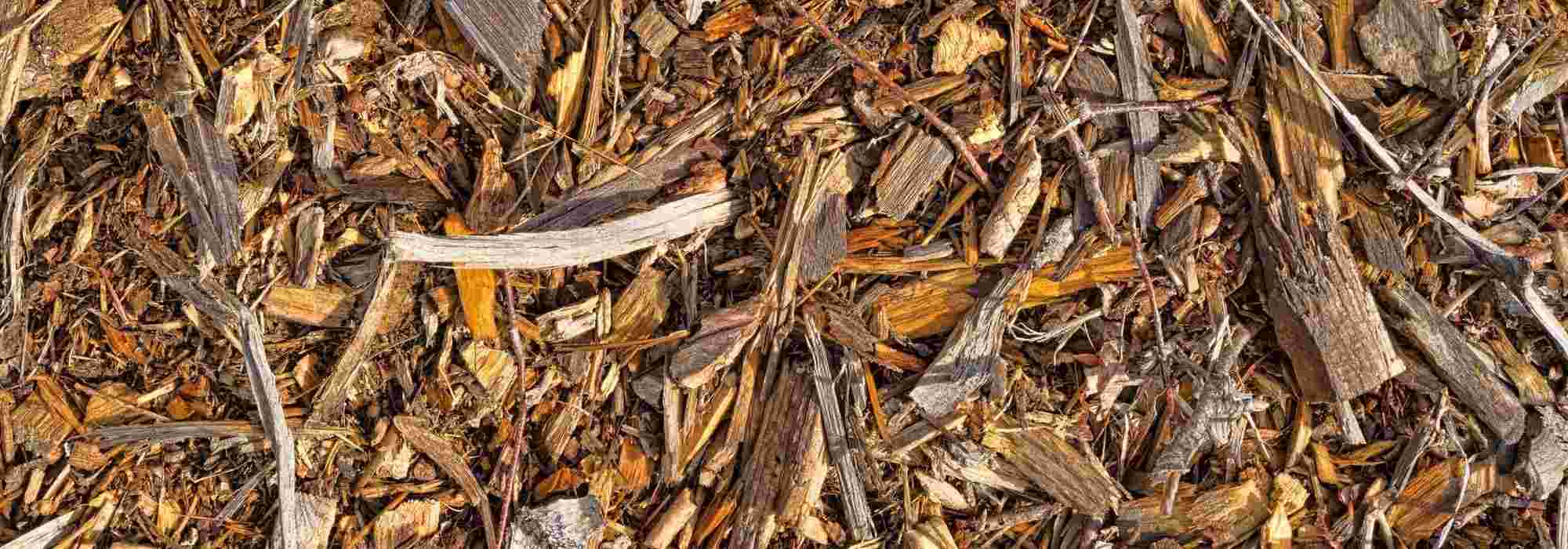 El BRF, o madera rameal fragmentada ¿qué es? ¿Cómo se utiliza en el jardín?