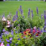 Jardín inglés: ¿cómo diseñarlo?