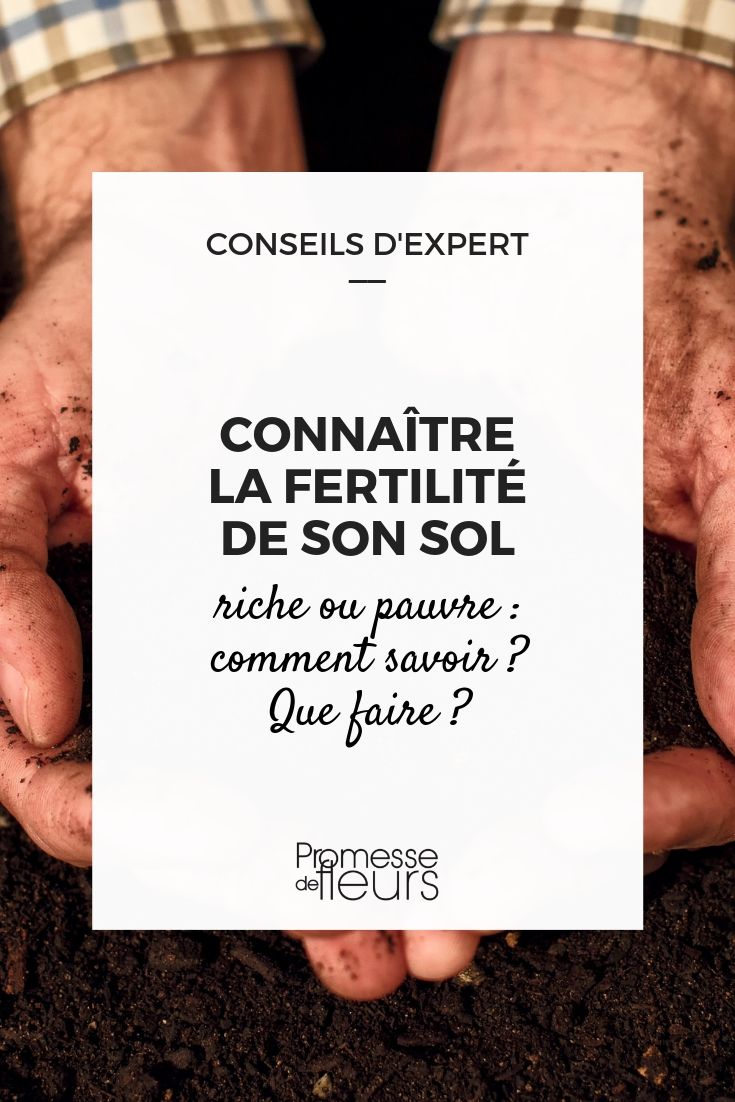 fertilidad del suelo: rico o pobre