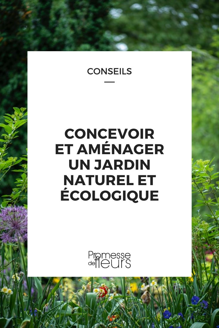 jardín natural y ecológico: diseño, elección de plantas
