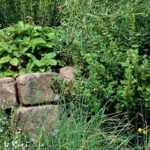 Crear una espiral de aromáticas