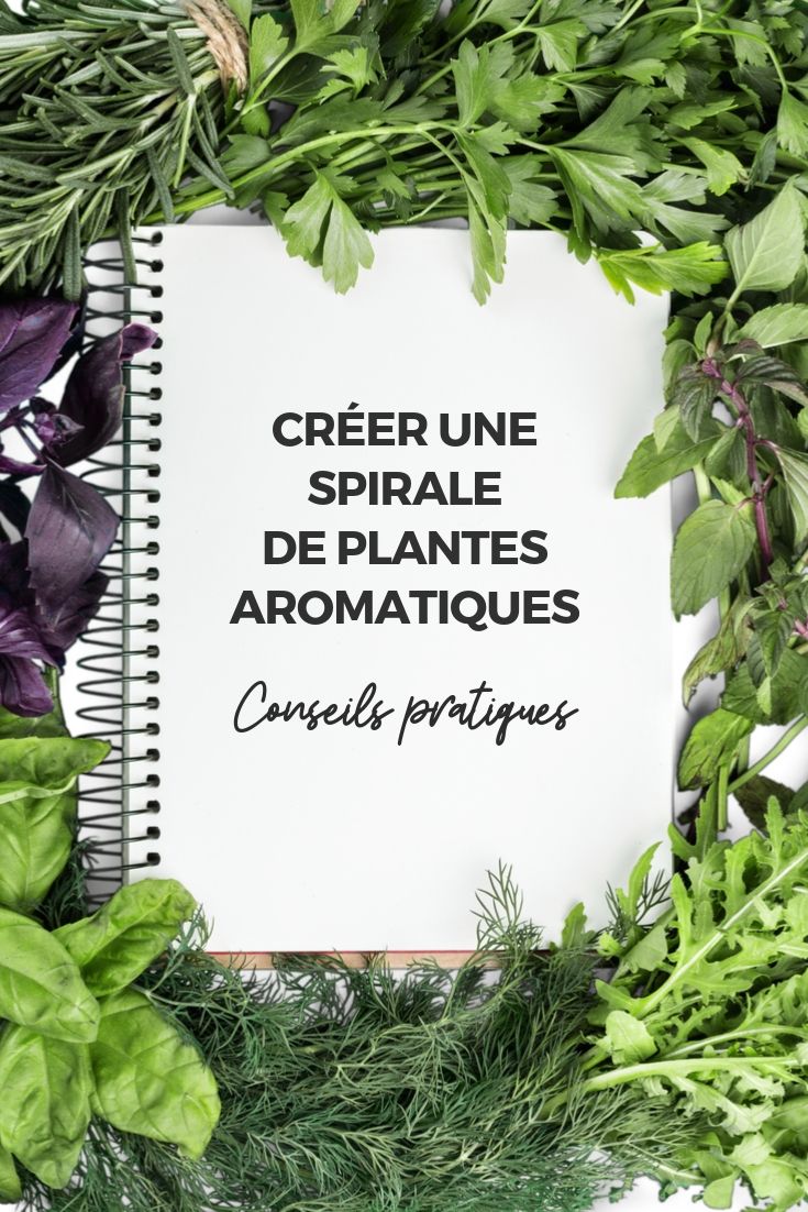 Espirales de plantas aromáticas: consejos prácticos