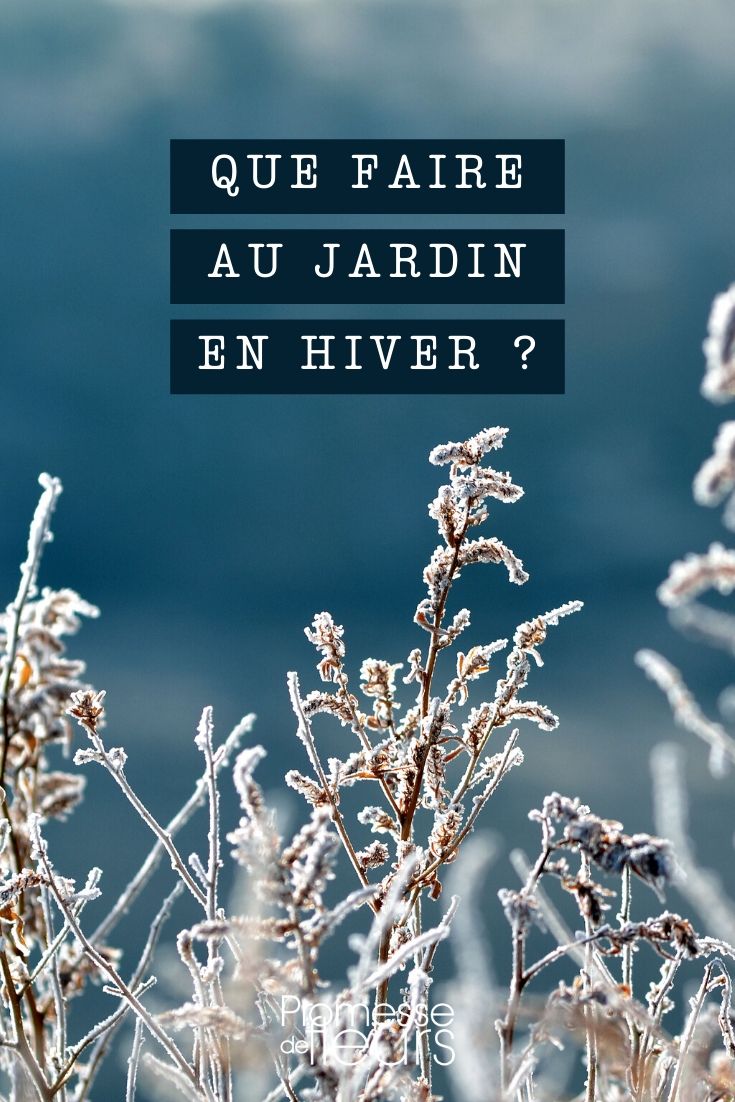 invierno: ¿qué hacer en el jardín?