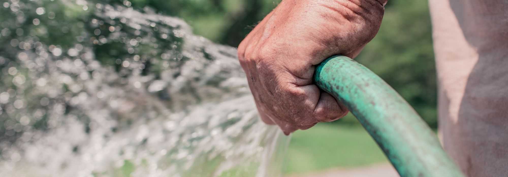 Riego del jardín: ¿cómo hacerlo?