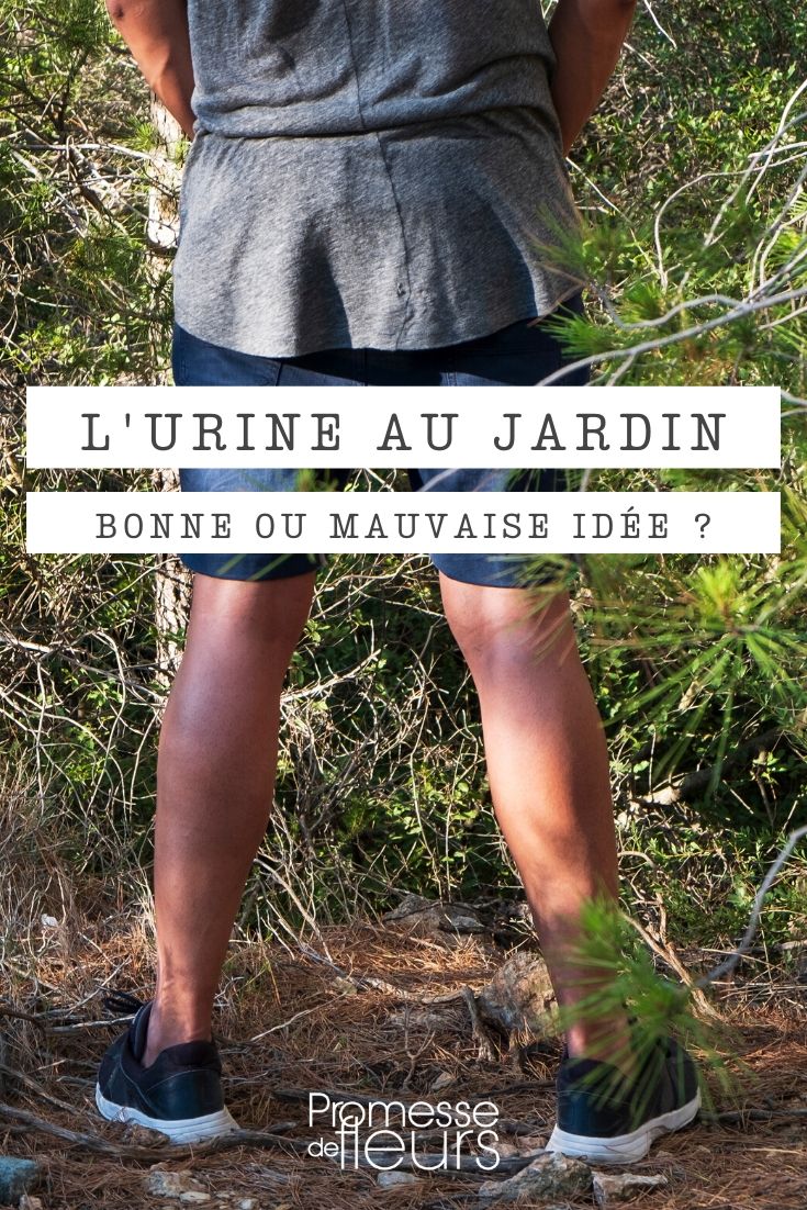 usar la orina en el jardín