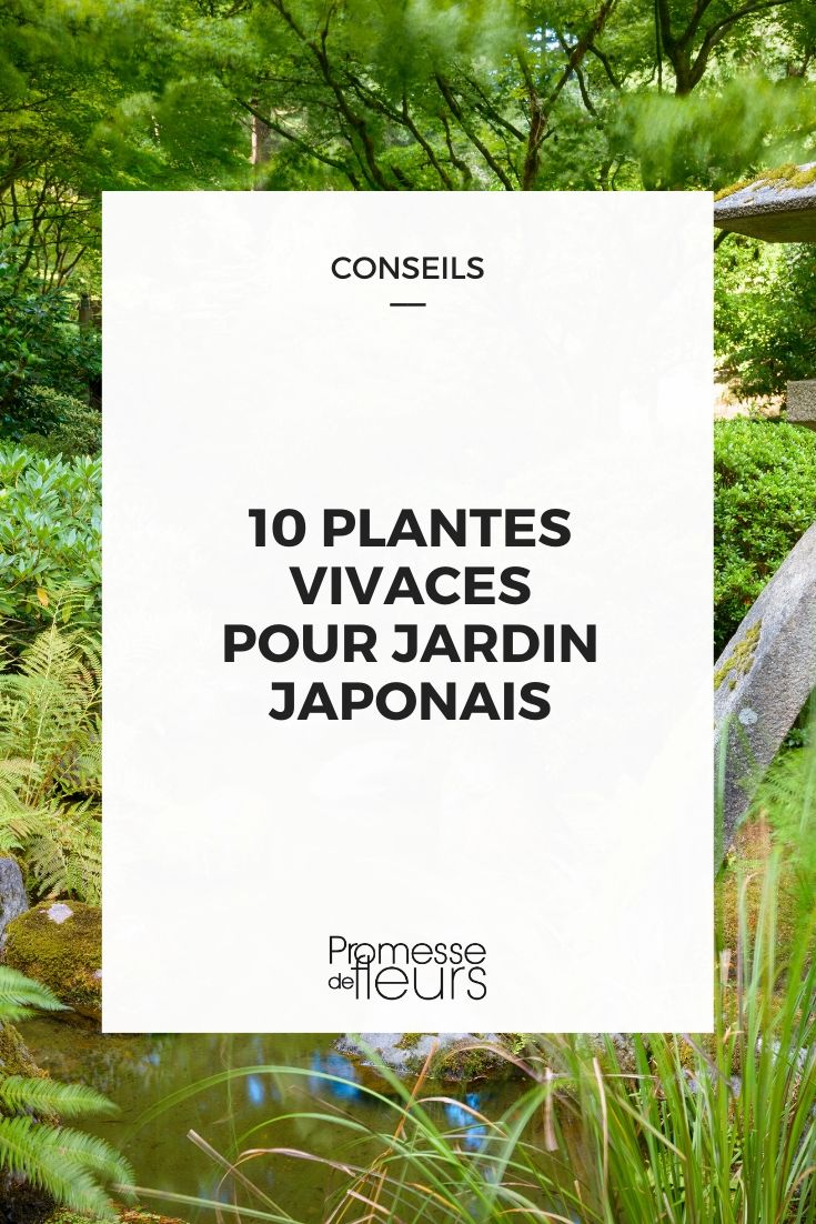 Jardín japonés: 10 plantas vivaces ideales