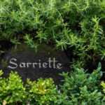 Jardín: cómo elegir bien las etiquetas para plantas