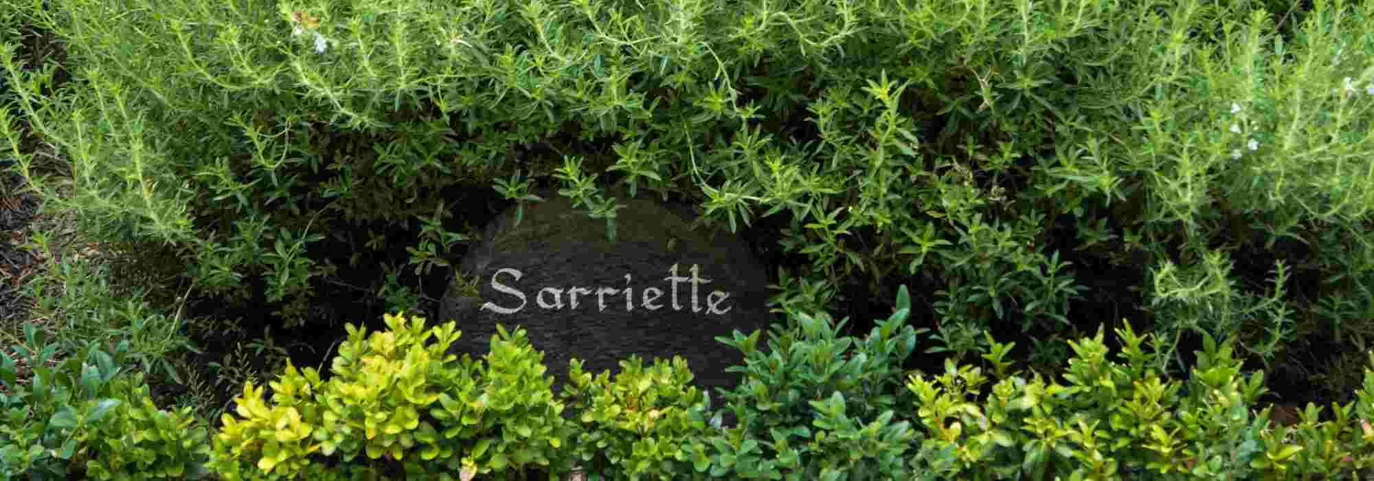 Jardín: cómo elegir bien las etiquetas para plantas