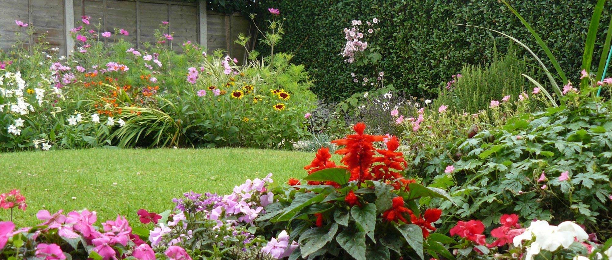 Densidad de plantación: todo lo que debes saber