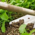 Azada colineal: ¿cómo elegir bien?