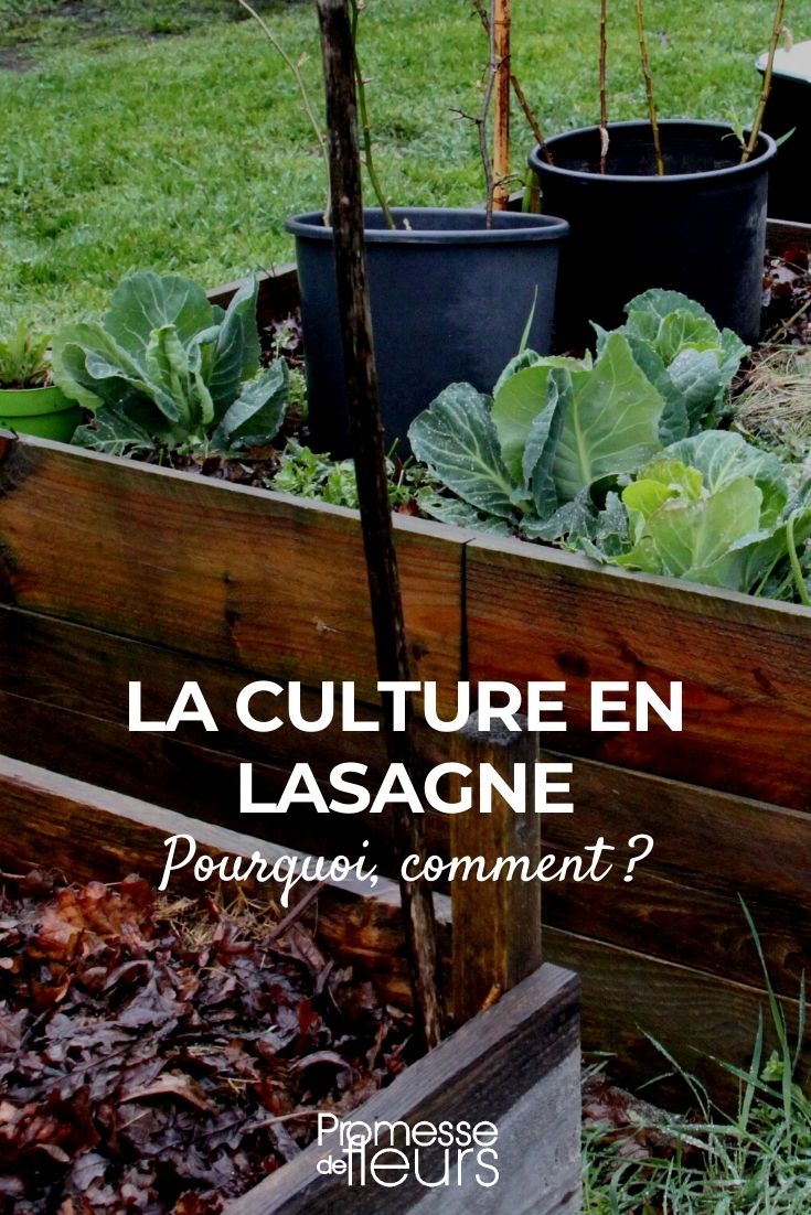 Cultivo en lasaña y permacultura