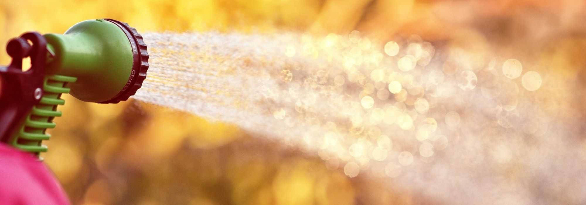 ¿Cómo ahorrar agua en el jardín?