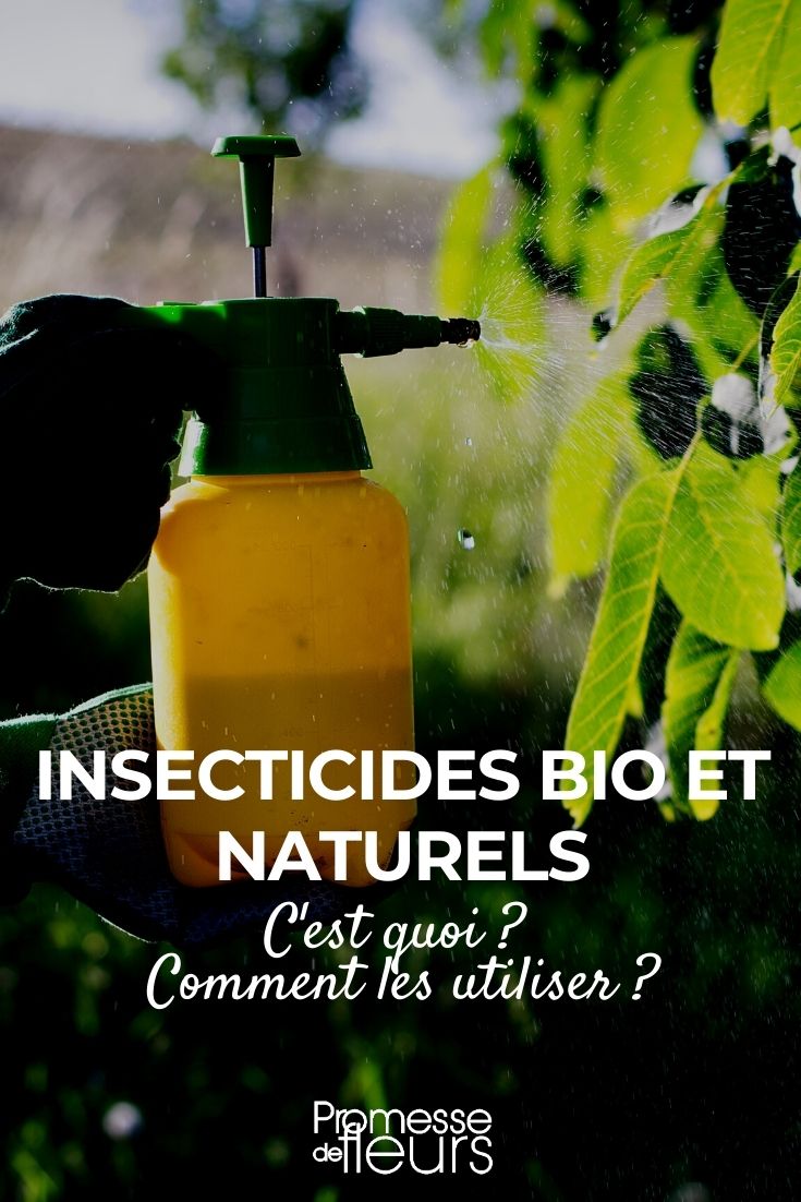 insecticidas ecológicos y naturales