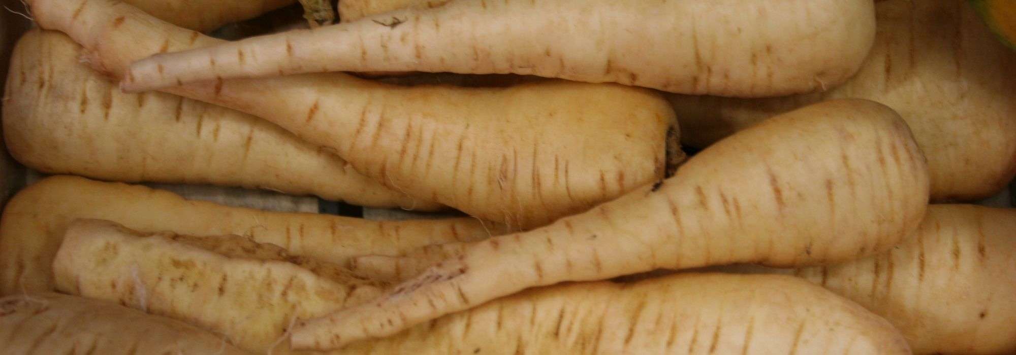 9 hortalizas antiguas para cultivar en el huerto