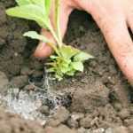 ¿Qué es un hidroretenedor, para qué sirve y cómo utilizarlo?