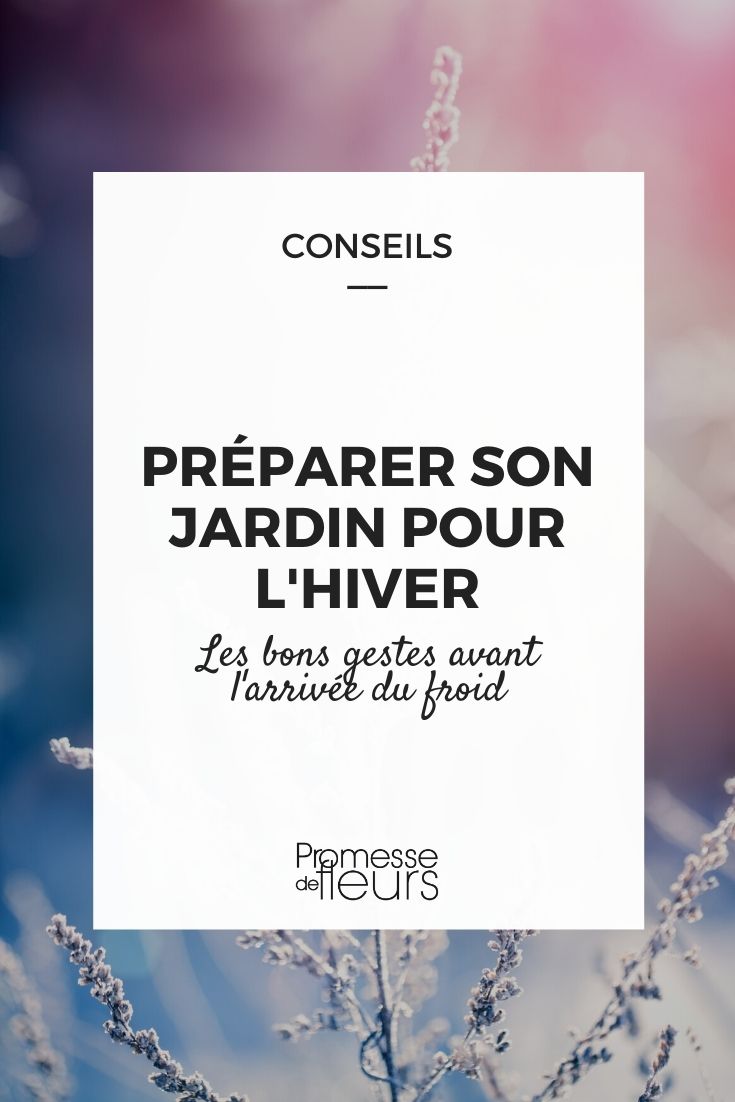 Preparar el jardín para la llegada del invierno