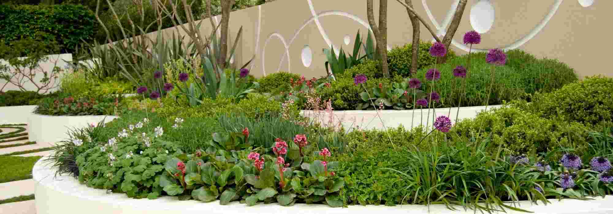 5 consejos de plantación para un jardín gráfico y moderno